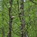resized_DSC_0006
