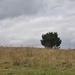 resized_DSC_0008