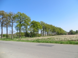 2014-04-16 Zottegem 003