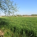 2014-04-16 Zottegem 019