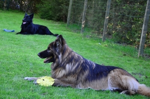 samen even rusten