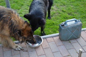 samen drinken