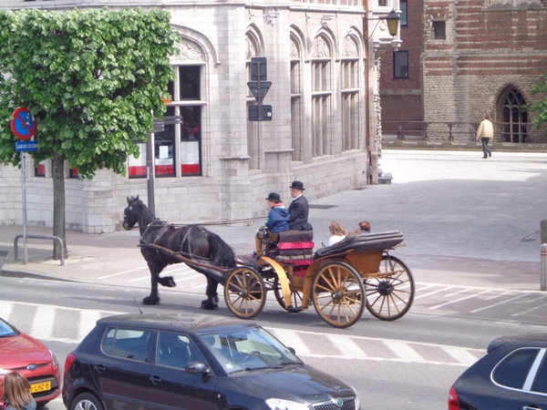 Per Paardenkoets Antwerpen bekijken