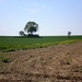 Tumulus Vekmaal