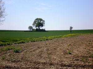 Tumulus Vekmaal