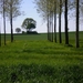 gelegen te