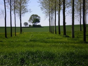 gelegen te