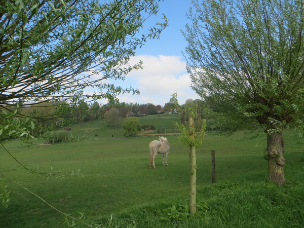 2014-04-19 Merchtem 016