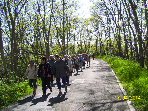 Wandeling naar Slachthuis  - 17 april 2014