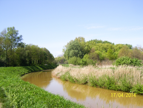 Wandeling naar Slachthuis  - 17 april 2014