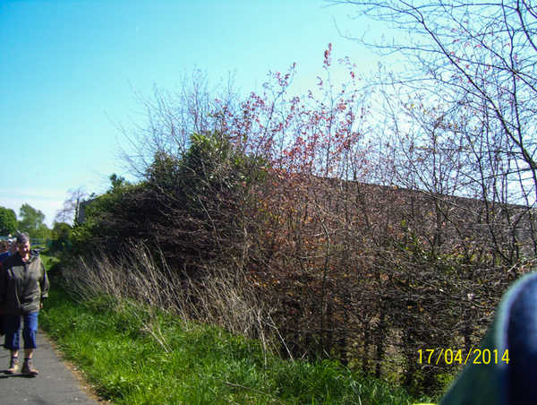 Wandeling naar Slachthuis  - 17 april 2014