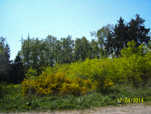 Wandeling naar Slachthuis  - 17 april 2014