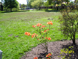 Wandeling naar Slachthuis  - 17 april 2014