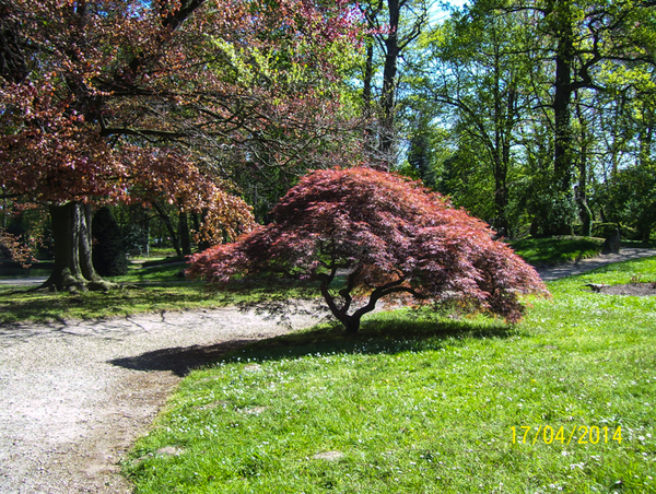 Wandeling naar Slachthuis  - 17 april 2014