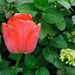 AAD_2865