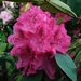 AAD_2880