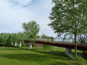 22-Onder brug in Bredene