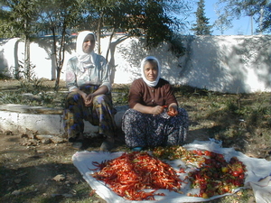 Turkse vrouwen