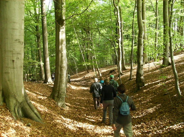 Brakel April 2014 010