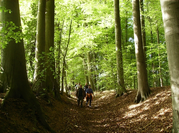 Brakel April 2014 011