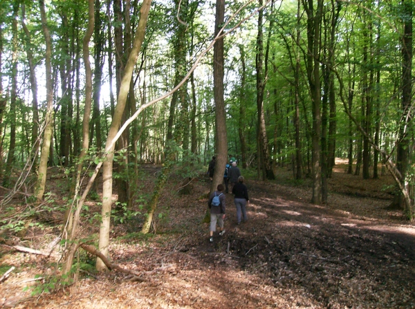 Brakel April 2014 012