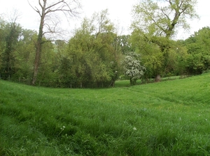 Brakel April 2014 031