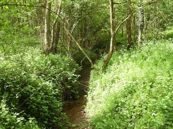 Brakel April 2014 032