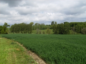 Brakel April 2014 036
