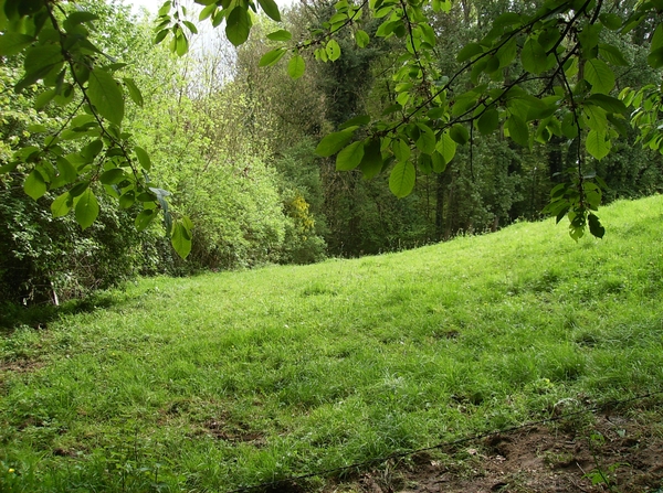 Brakel April 2014 042