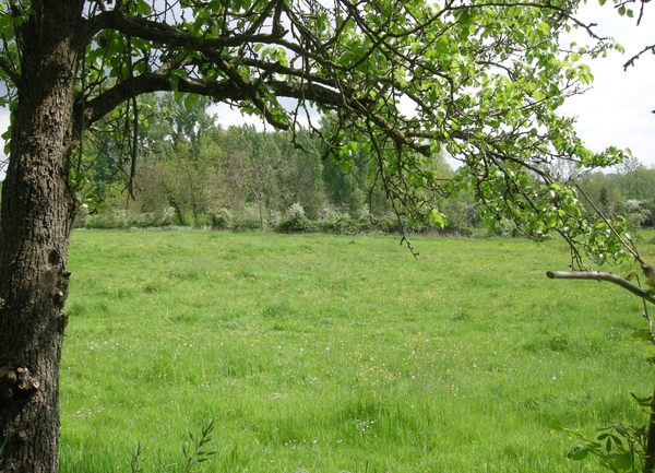 2014-04-28 001 002
