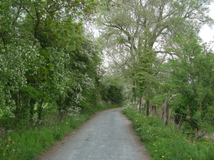 2014-04-28 001 006
