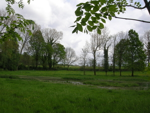 2014-04-28 001 016