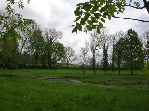 2014-04-28 001 016