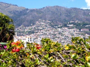 2014_04_21 Madeira 035