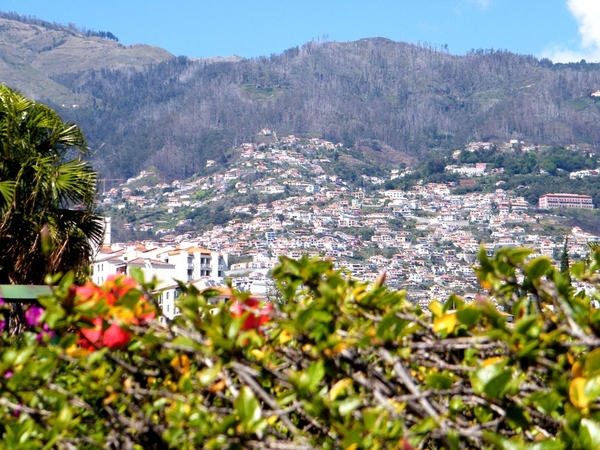 Madeira