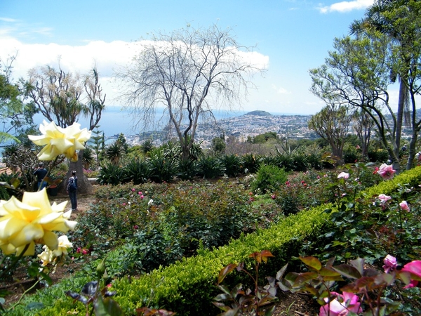 Madeira