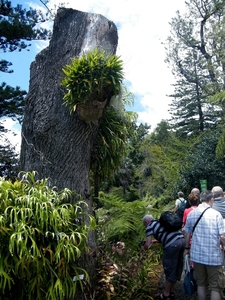 2014_04_22 Madeira 023