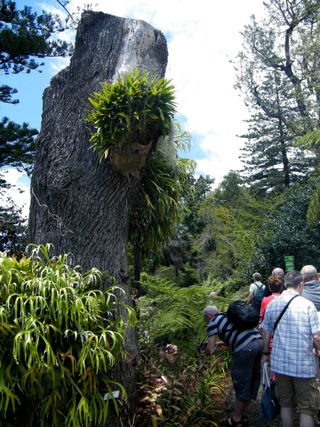 Madeira