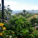 2014_04_22 Madeira 030