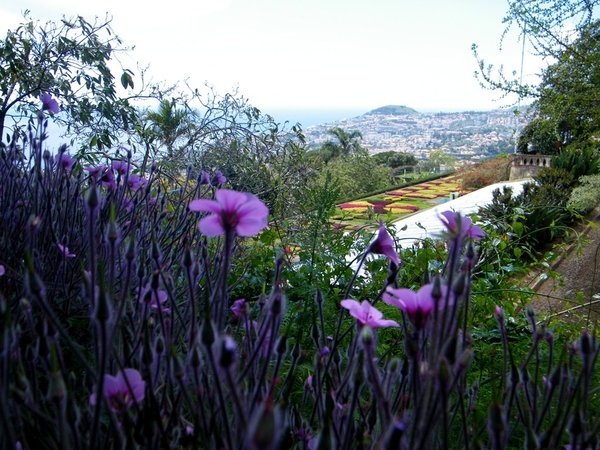 Madeira