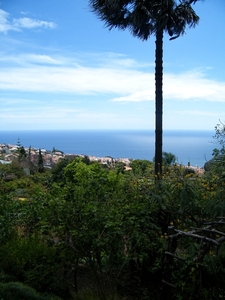 2014_04_22 Madeira 053