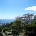 2014_04_22 Madeira 057