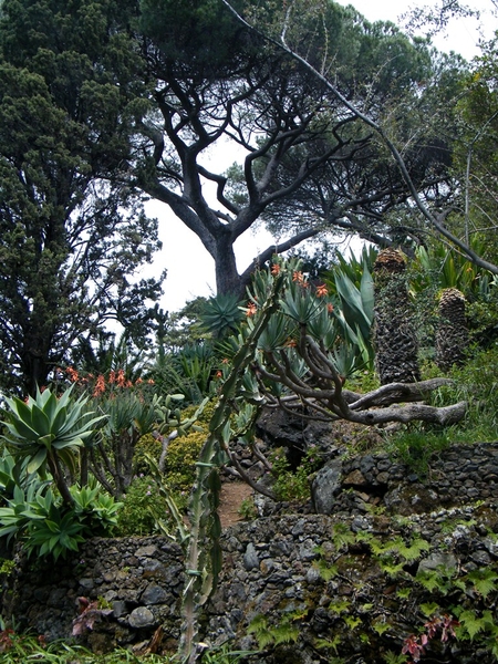 Madeira