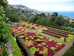 2014_04_22 Madeira 081