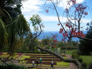 2014_04_22 Madeira 082