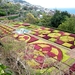 2014_04_22 Madeira 087