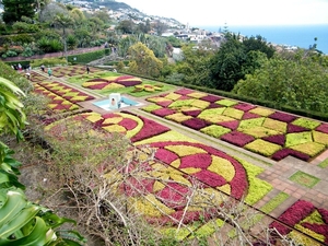 2014_04_22 Madeira 087