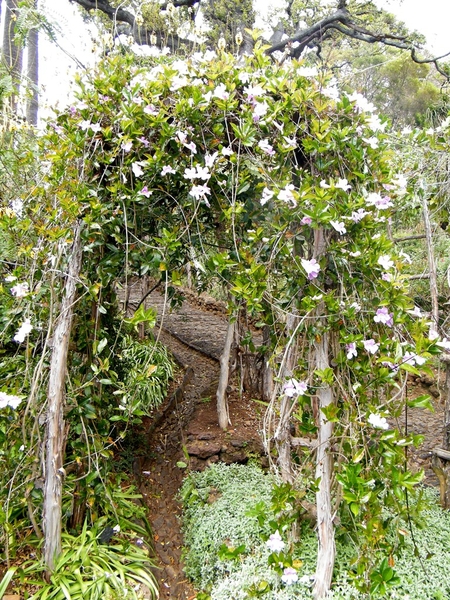 Madeira