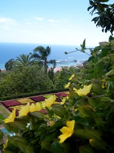 2014_04_22 Madeira 096