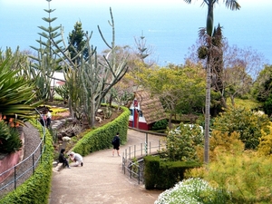 2014_04_22 Madeira 099